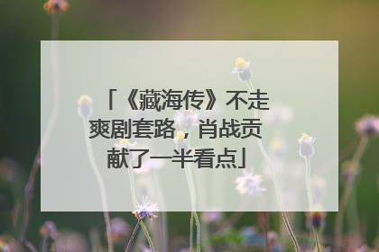 《藏海传》不走爽剧套路，肖战贡献了一半看点