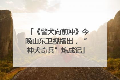《警犬向前冲》今晚山东卫视播出，“神犬奇兵”炼成记