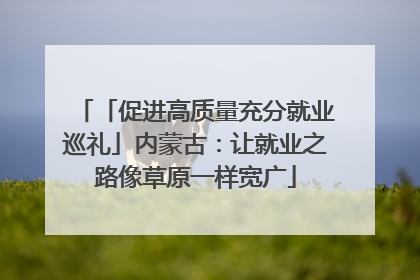 「促进高质量充分就业巡礼」内蒙古：让就业之路像草原一样宽广