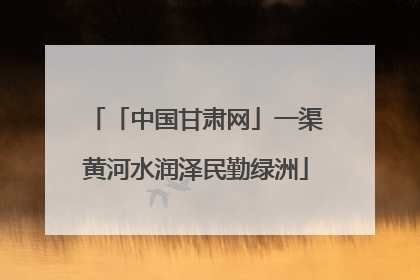 「中国甘肃网」一渠黄河水润泽民勤绿洲