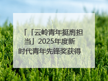 「云岭青年挺膺担当」2025年度新时代青年先锋奖获得者王敏奇——澜沧江上好渔人
