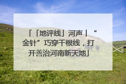 「地评线」河声丨“金针”巧穿千根线，打开善治河南新天地