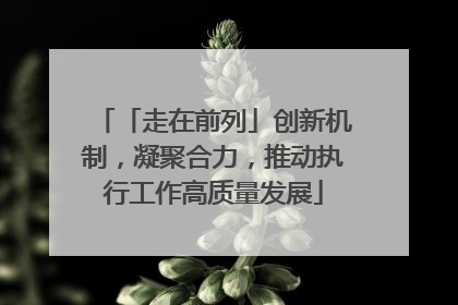 「走在前列」创新机制，凝聚合力，推动执行工作高质量发展