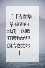 「青春华章·重走西北角」闪耀在博物馆里的青春力量