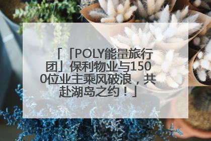 「POLY能量旅行团」保利物业与1500位业主乘风破浪，共赴湖岛之约！