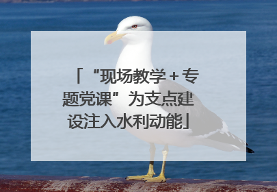 “现场教学＋专题党课”为支点建设注入水利动能