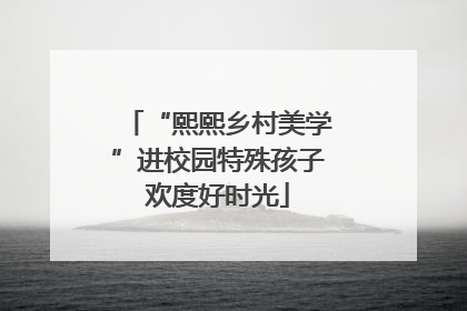 “熙熙乡村美学”进校园特殊孩子欢度好时光