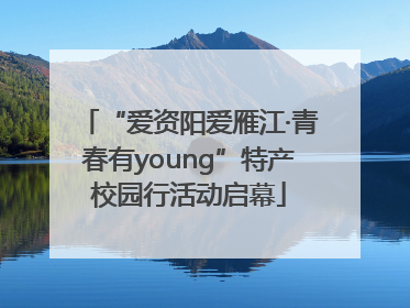 “爱资阳爱雁江·青春有young”特产校园行活动启幕