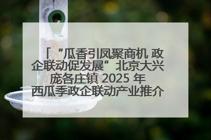 “瓜香引凤聚商机 政企联动促发展”北京大兴庞各庄镇 2025 年西瓜季政企联动产业推介活动圆满举行