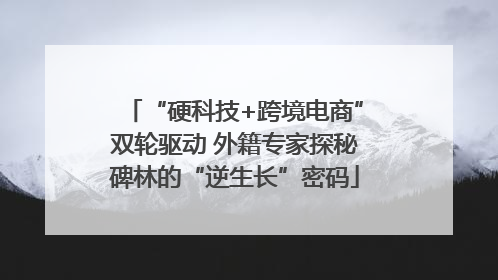“硬科技+跨境电商”双轮驱动 外籍专家探秘碑林的“逆生长”密码