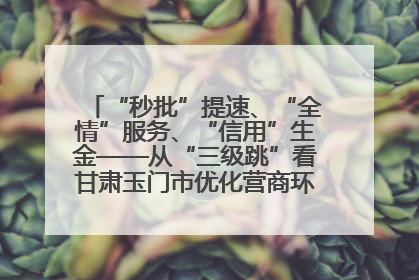 “秒批”提速、“全情”服务、“信用”生金——从“三级跳”看甘肃玉门市优化营商环境的进阶之路