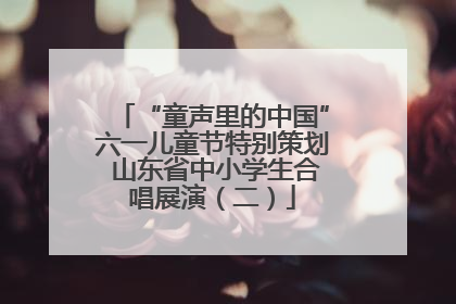 “童声里的中国”六一儿童节特别策划 山东省中小学生合唱展演（二）