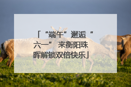 “端午”邂逅“六一” 来衡阳珠晖解锁双倍快乐