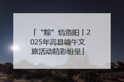“粽”情洛阳丨2025年嵩县端午文旅活动精彩纷呈