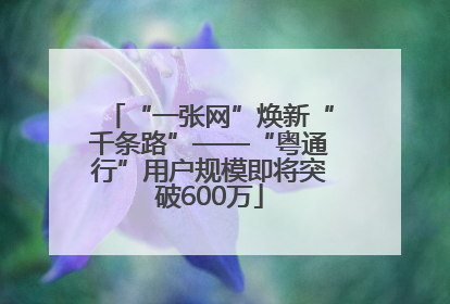“一张网”焕新“千条路”——“粤通行”用户规模即将突破600万