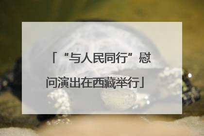 “与人民同行”慰问演出在西藏举行