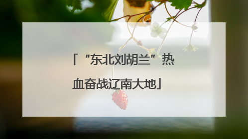 “东北刘胡兰”热血奋战辽南大地