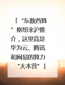 “东数西算”枢纽来沪推介，这里竟是华为云、腾讯和网易的算力“大本营”