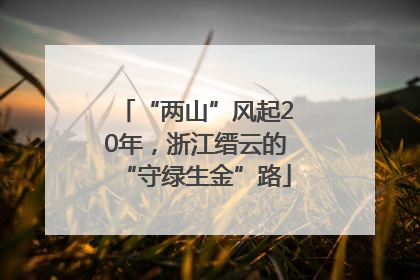 “两山”风起20年，浙江缙云的“守绿生金”路