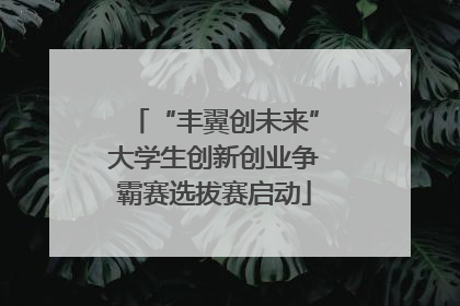 “丰翼创未来”大学生创新创业争霸赛选拔赛启动