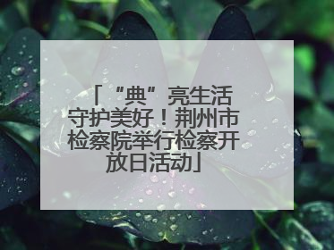 “典”亮生活 守护美好！荆州市检察院举行检察开放日活动