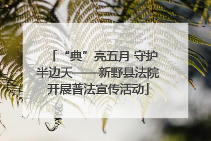 “典”亮五月 守护半边天——新野县法院开展普法宣传活动