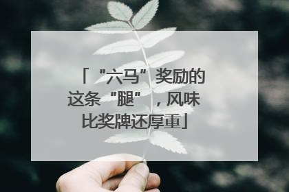 “六马”奖励的这条“腿”，风味比奖牌还厚重