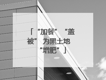 “加餐”“盖被” 为黑土地“增肥”
