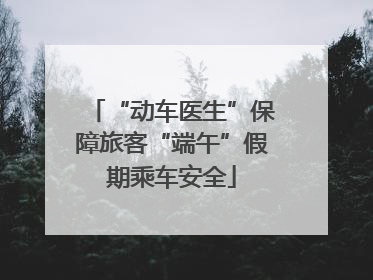 “动车医生”保障旅客“端午”假期乘车安全