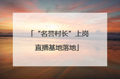 “名誉村长”上岗 直播基地落地