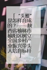 “头雁”是怎样育成的？——陕西省榆林市榆阳区树立全国乡村产业振兴带头人培育标杆
