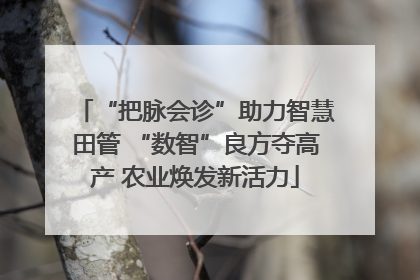 “把脉会诊”助力智慧田管 “数智”良方夺高产 农业焕发新活力
