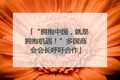 “拥抱中国，就是拥抱机遇！”多国商会会长呼吁合作