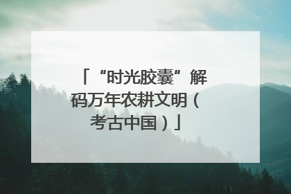 “时光胶囊”解码万年农耕文明（考古中国）