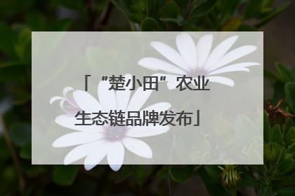 “楚小田”农业生态链品牌发布