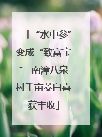 “水中参”变成“致富宝” 南漳八泉村千亩茭白喜获丰收