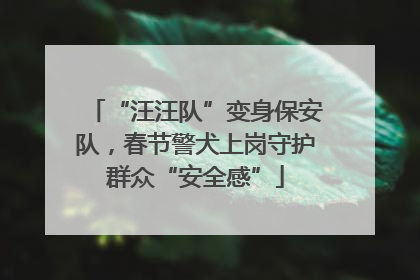 “汪汪队”变身保安队，春节警犬上岗守护群众“安全感”