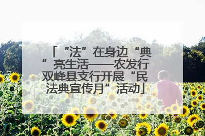 “法”在身边“典”亮生活——农发行双峰县支行开展“民法典宣传月”活动