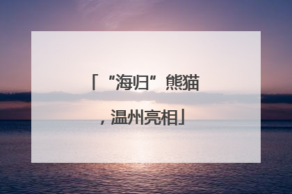 “海归”熊猫，温州亮相