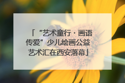 “艺术童行・画语传爱”少儿绘画公益艺术汇在西安落幕