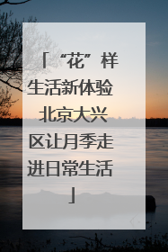 “花”样生活新体验 北京大兴区让月季走进日常生活