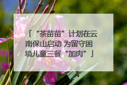 “茶苗苗”计划在云南保山启动 为留守困境儿童三餐“加肉”