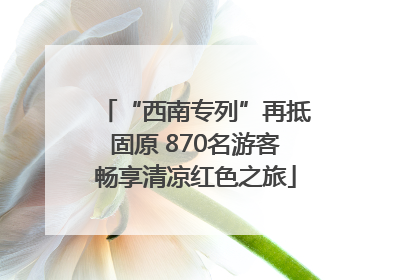“西南专列”再抵固原 870名游客畅享清凉红色之旅