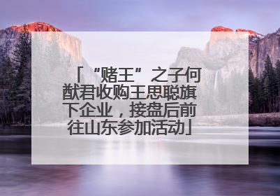 “赌王”之子何猷君收购王思聪旗下企业，接盘后前往山东参加活动