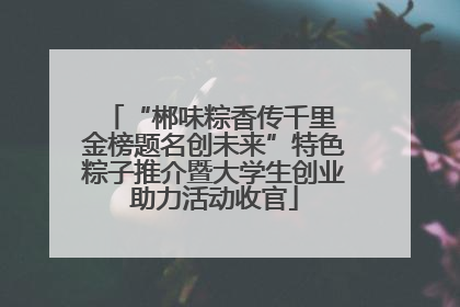 “郴味粽香传千里 金榜题名创未来”特色粽子推介暨大学生创业助力活动收官