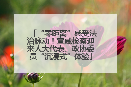 “零距离”感受法治脉动！宣威检察迎来人大代表、政协委员“沉浸式”体验