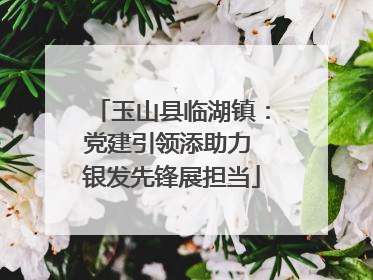 玉山县临湖镇：党建引领添助力 银发先锋展担当