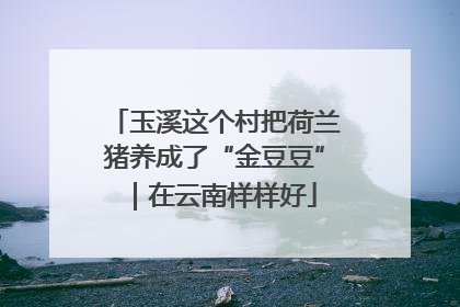 玉溪这个村把荷兰猪养成了“金豆豆”｜在云南样样好