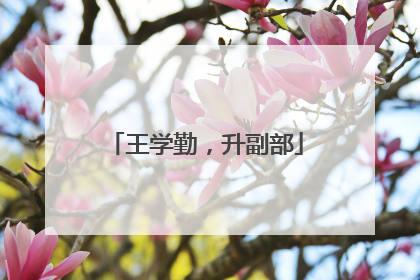 王学勤，升副部