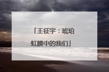 王征宇：琥珀虹膜中的我们